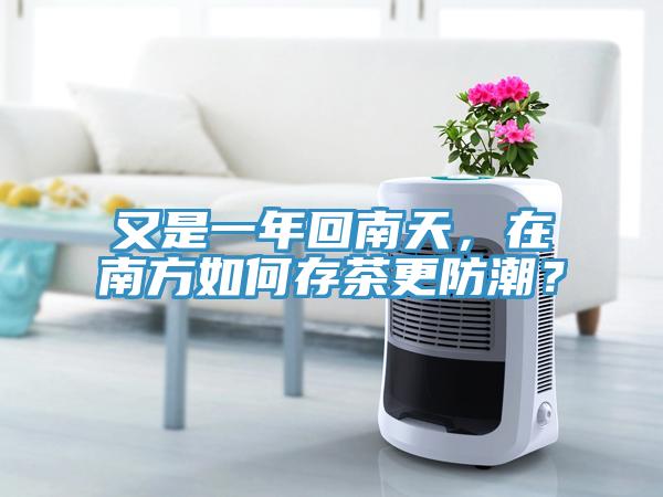 又是一年回南天，在南方如何存茶更防潮？