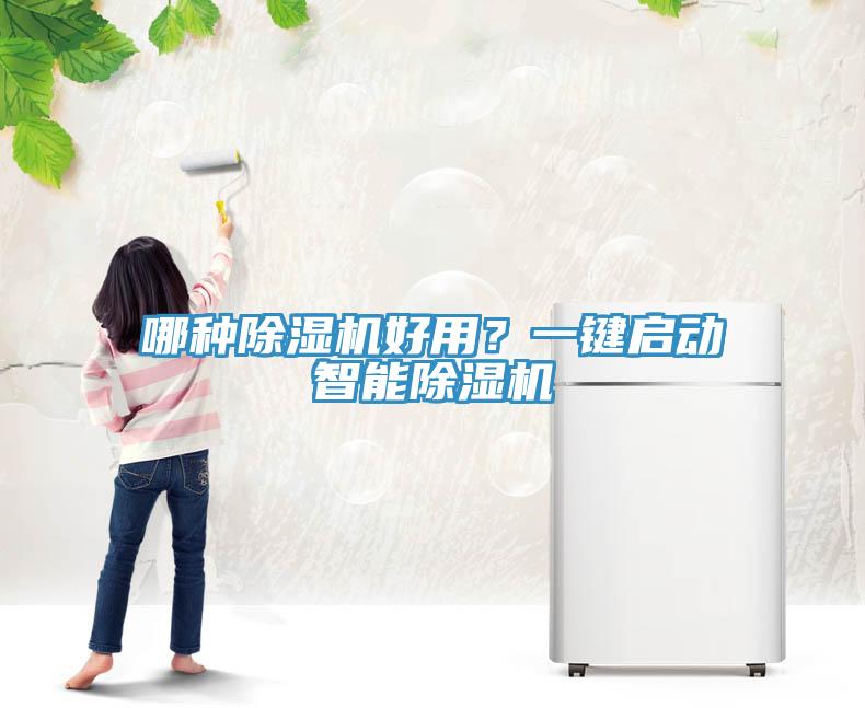 哪种除湿机好用？一键启动智能除湿机