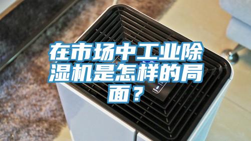 在市场中工业除湿机是怎样的局面？