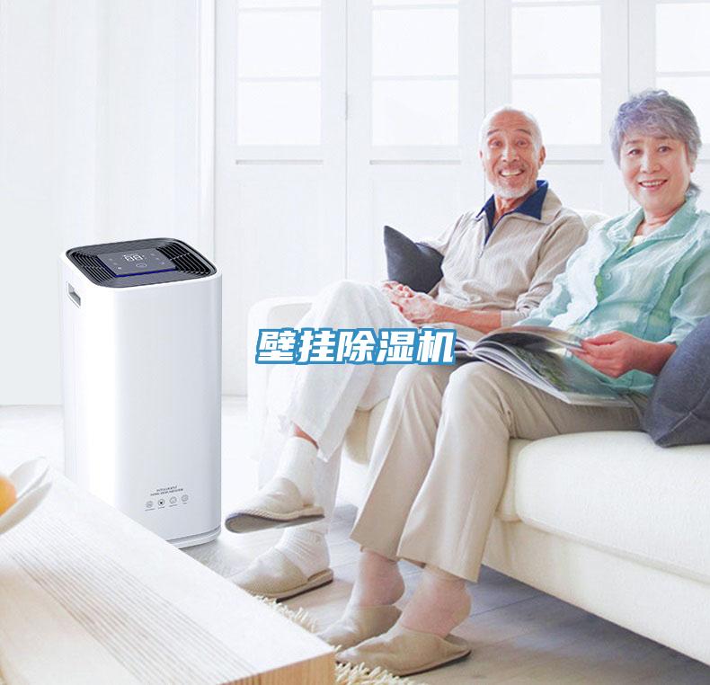 壁挂除湿机