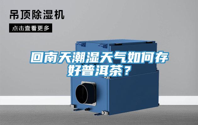 回南天潮湿天气如何存好普洱茶？