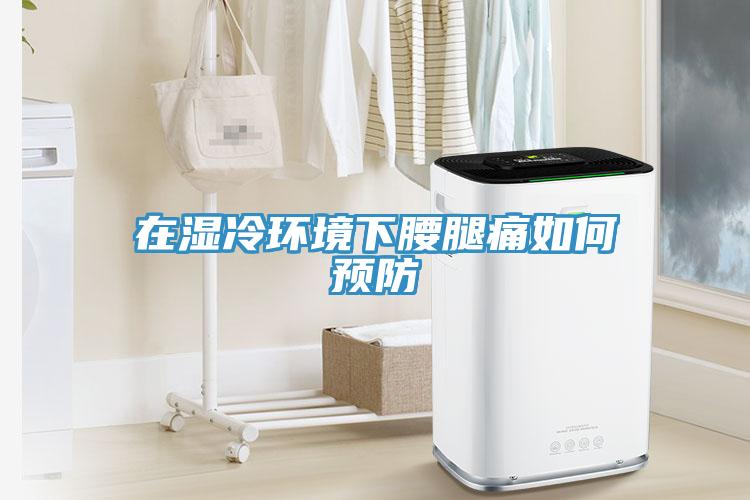 在湿冷环境下腰腿痛如何预防