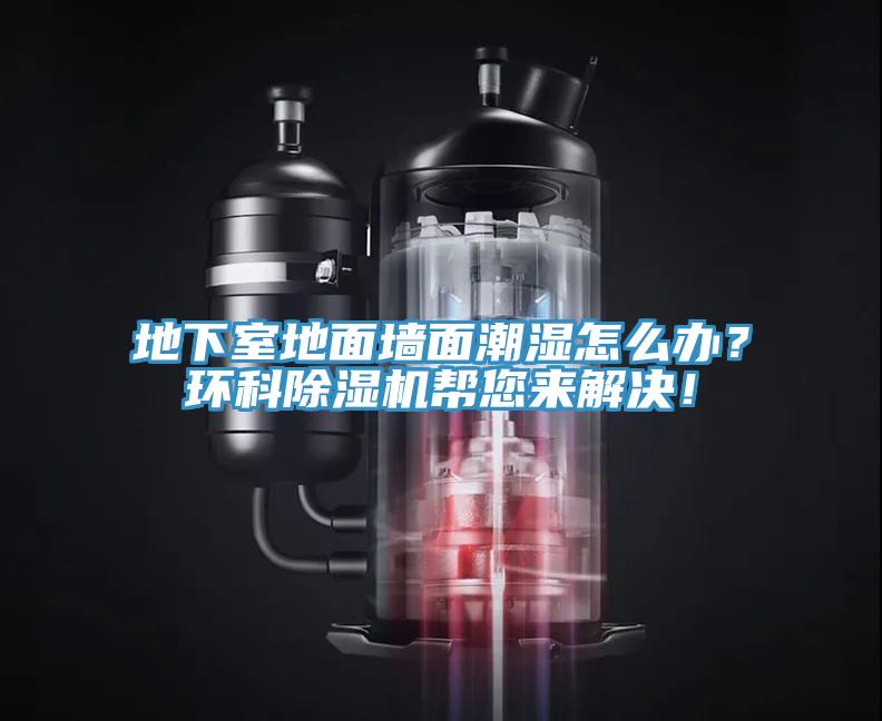 地下室地面墙面潮湿怎么办？环科除湿机帮您来解决！