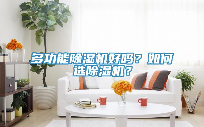 多功能除湿机好吗？如何选除湿机？