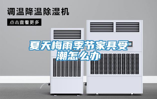 夏天梅雨季节家具受潮怎么办