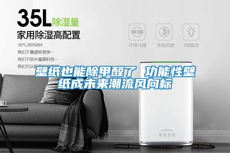 壁纸也能除甲醛了 功能性壁纸成未来潮流风向标
