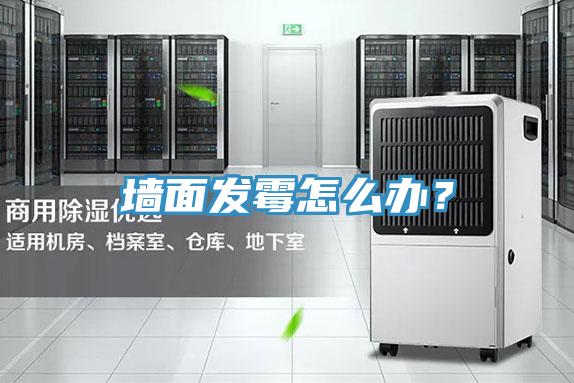 墙面发霉怎么办？