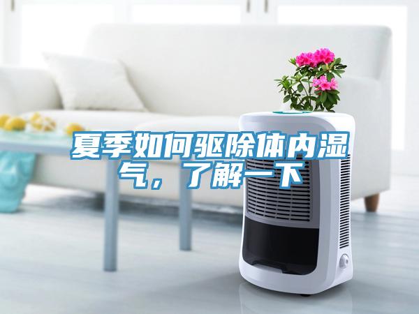 夏季如何驱除体内湿气，了解一下
