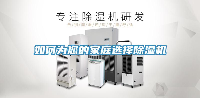 如何为您的家庭选择除湿机