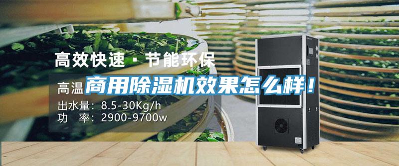 商用除湿机效果怎么样！