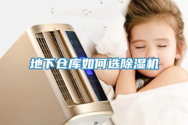 地下仓库如何选除湿机
