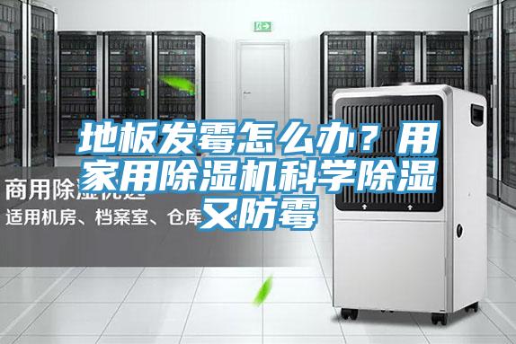 地板发霉怎么办？用家用除湿机科学除湿又防霉