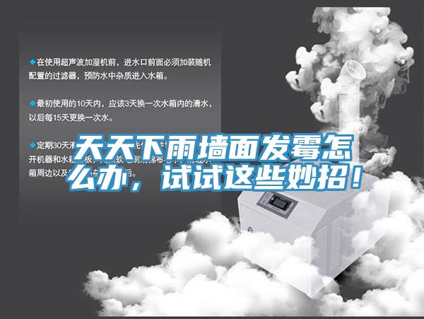 天天下雨墙面发霉怎么办，试试这些妙招！