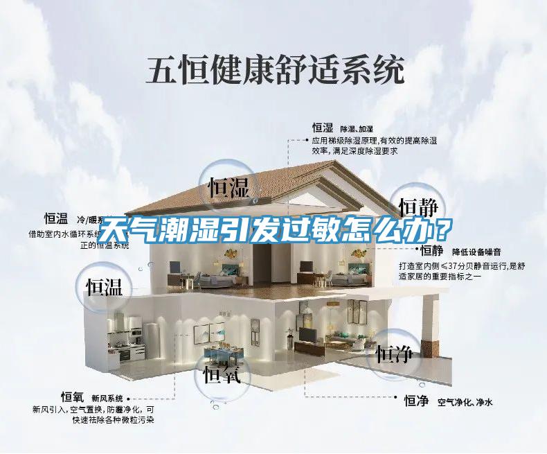 天气潮湿引发过敏怎么办？