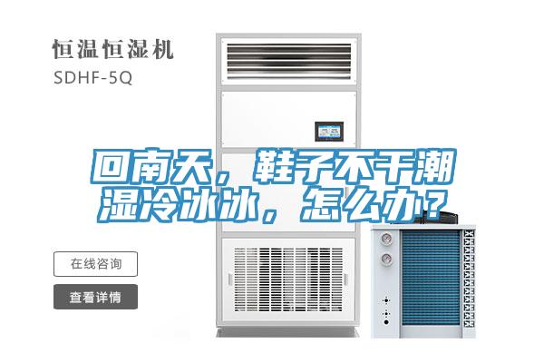 回南天，鞋子不干潮湿冷冰冰，怎么办？