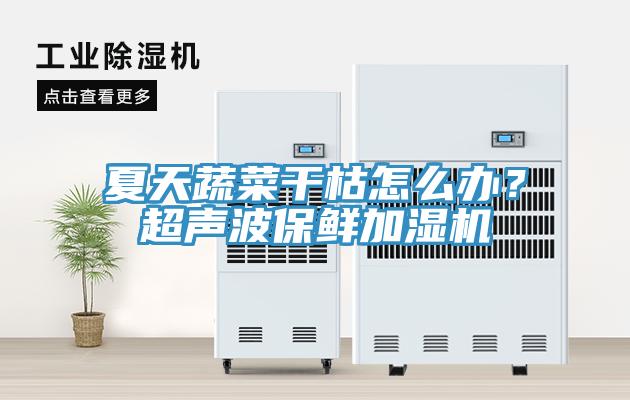 夏天蔬菜干枯怎么办？超声波保鲜加湿机