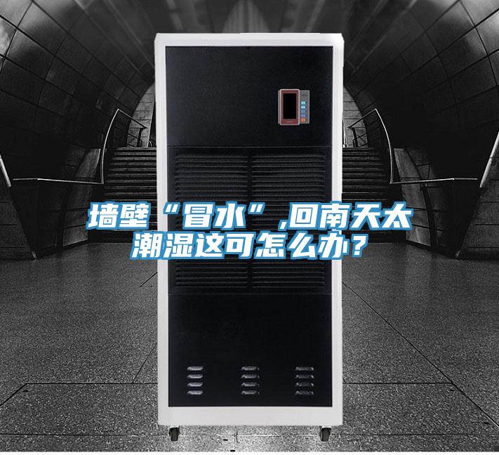 墙壁“冒水”,回南天太潮湿这可怎么办？