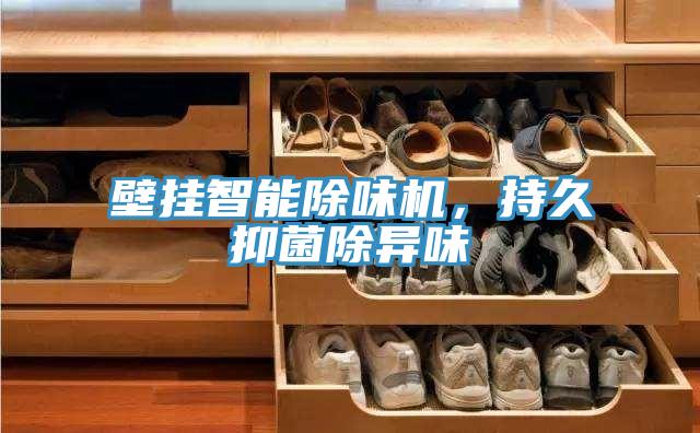 壁挂智能除味机，持久抑菌除异味