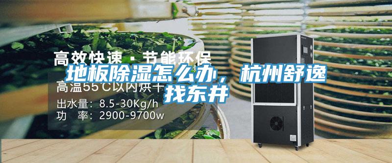 地板除湿怎么办，杭州舒逸找东井