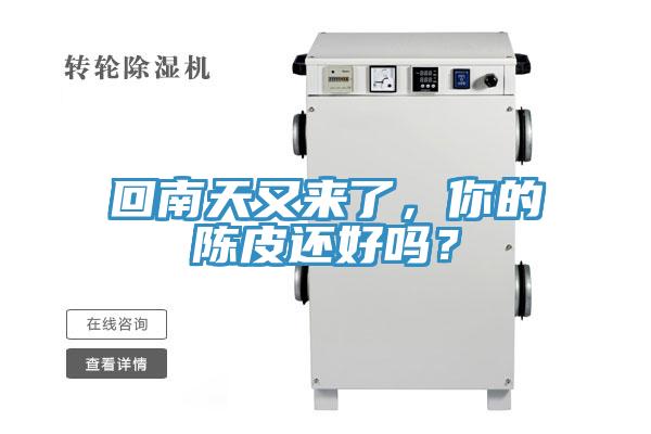 回南天又来了，你的陈皮还好吗？