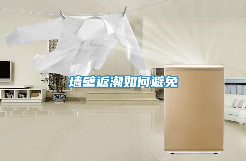 墙壁返潮如何避免