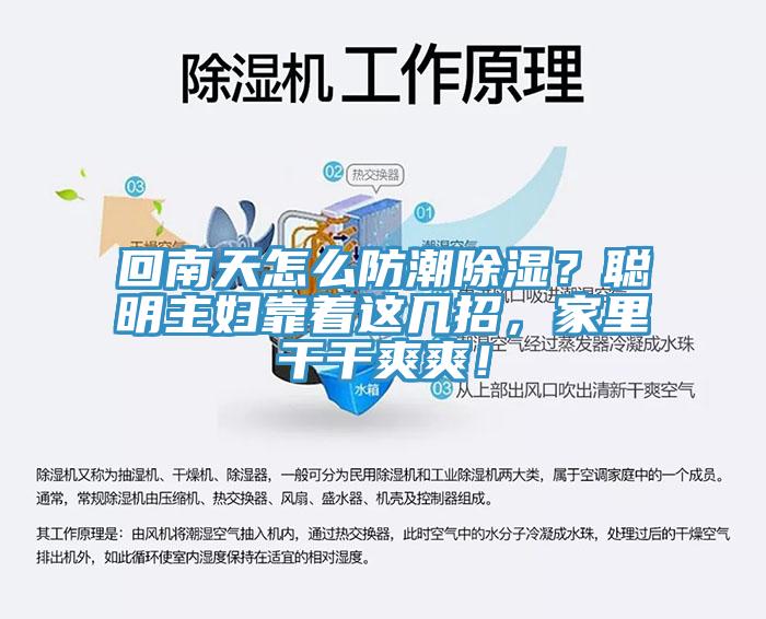 回南天怎么防潮除湿？聪明主妇靠着这几招，家里干干爽爽！