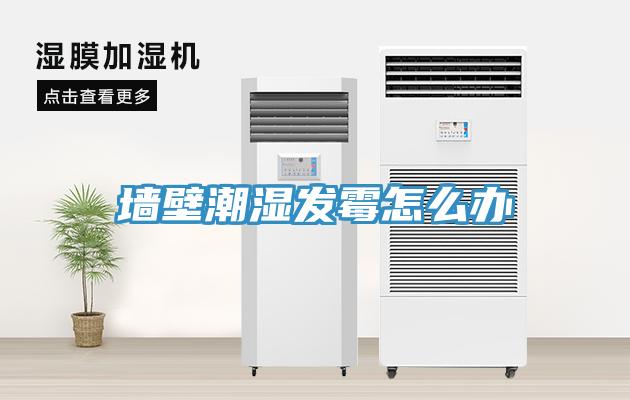 墙壁潮湿发霉怎么办