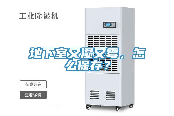 地下室又湿又霉，怎么保存？
