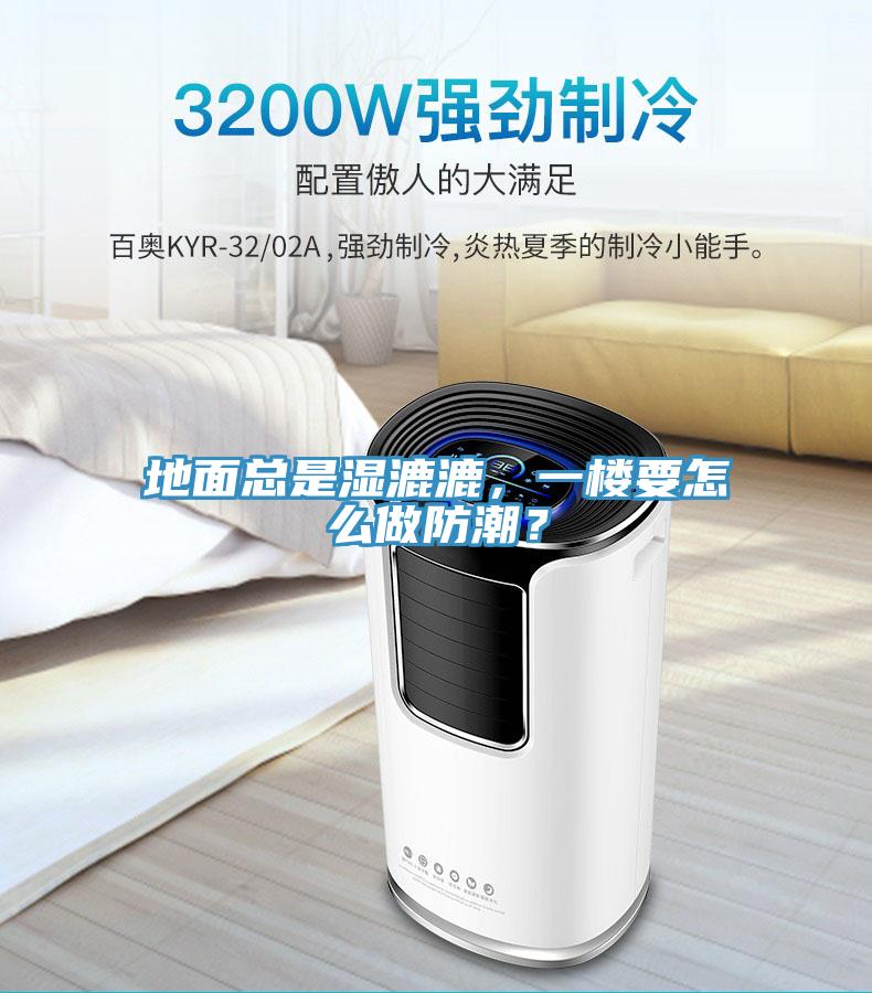 地面总是湿漉漉，一楼要怎么做防潮？