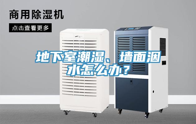 地下室潮湿、墙面洇水怎么办？