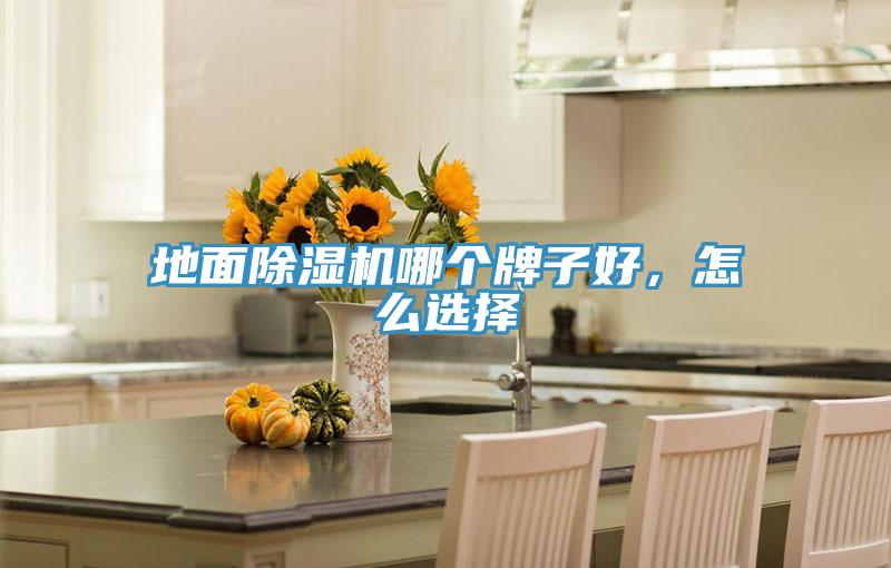 地面除湿机哪个牌子好，怎么选择