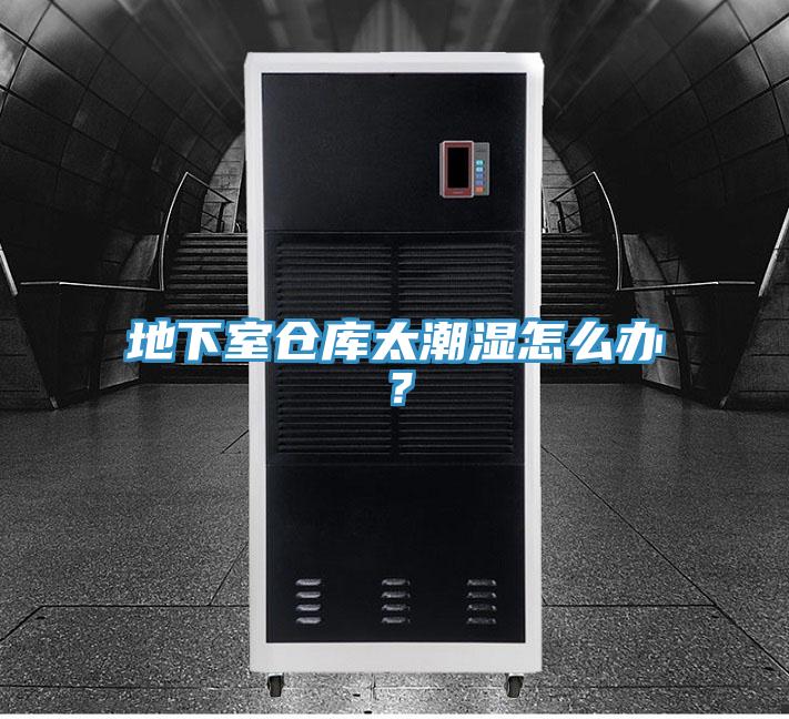 地下室仓库太潮湿怎么办？