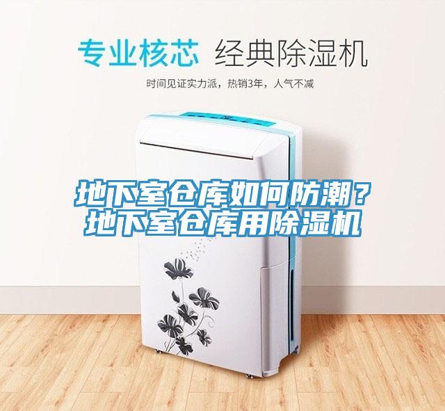 地下室仓库如何防潮？地下室仓库用除湿机