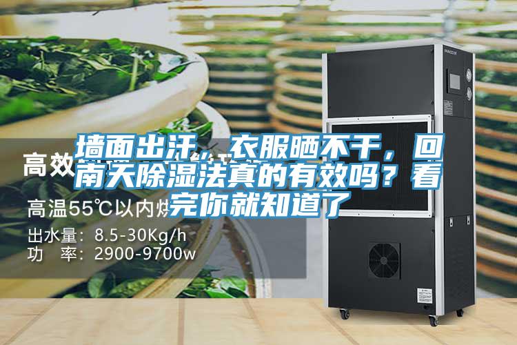 墙面出汗，衣服晒不干，回南天除湿法真的有效吗？看完你就知道了