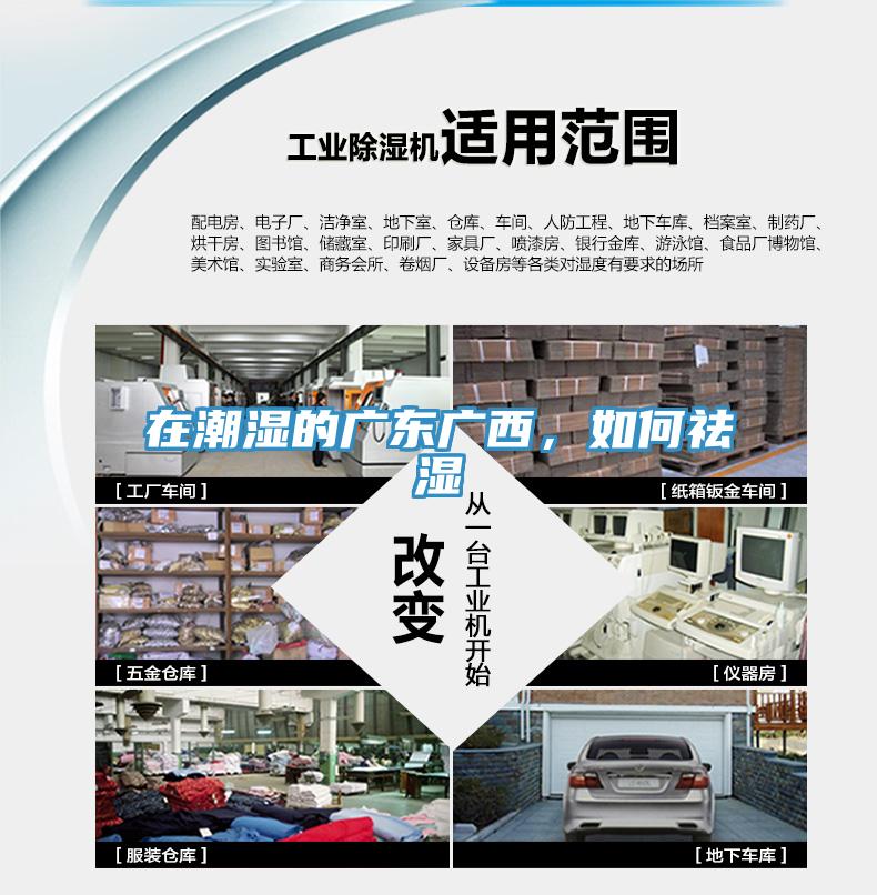 在潮湿的广东广西，如何祛湿