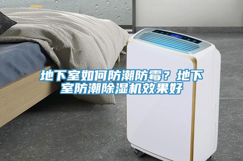 地下室如何防潮防霉？地下室防潮除湿机效果好