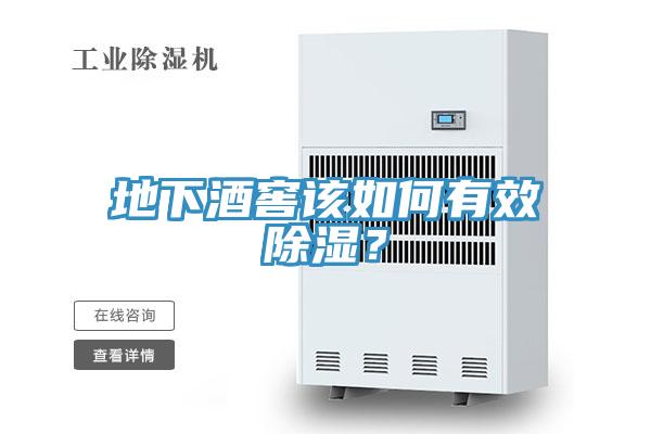 地下酒窖该如何有效除湿？