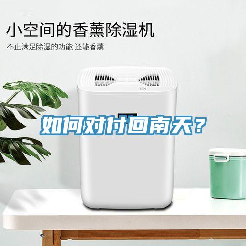 如何对付回南天？