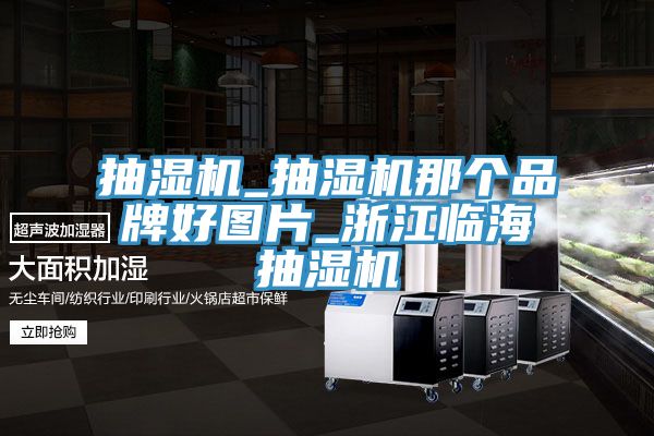 抽湿机_抽湿机那个品牌好图片_浙江临海抽湿机