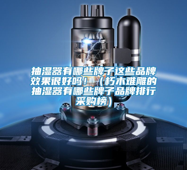 抽湿器有哪些牌子这些品牌效果很好吗?。ㄐ嗄灸训竦某槭饔心男┡谱悠放婆判胁晒喊瘢?></div>
								<div class=