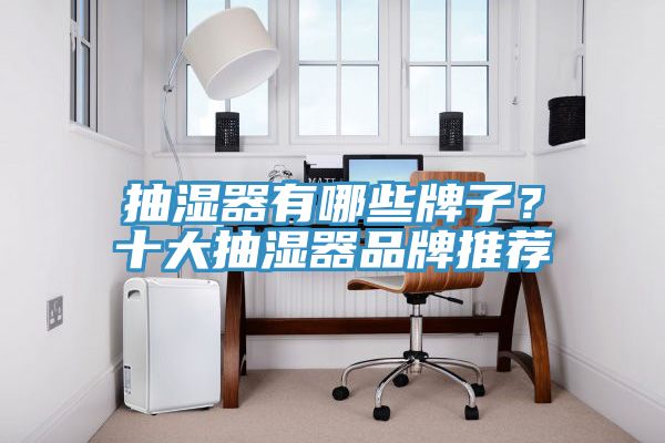 抽湿器有哪些牌子？十大抽湿器品牌推荐