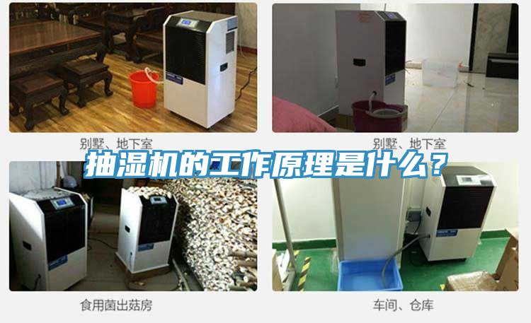 抽湿机的工作原理是什么？