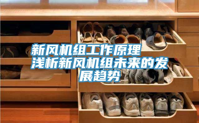 新风机组工作原理   浅析新风机组未来的发展趋势
