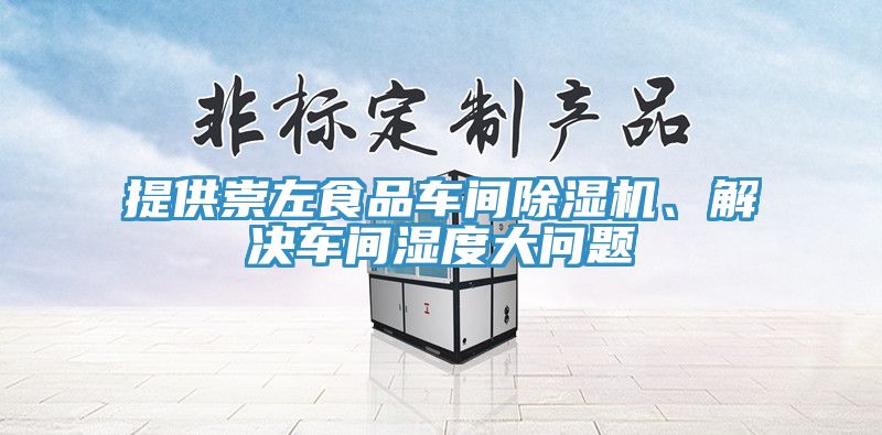 提供崇左食品车间除湿机、解决车间湿度大问题
