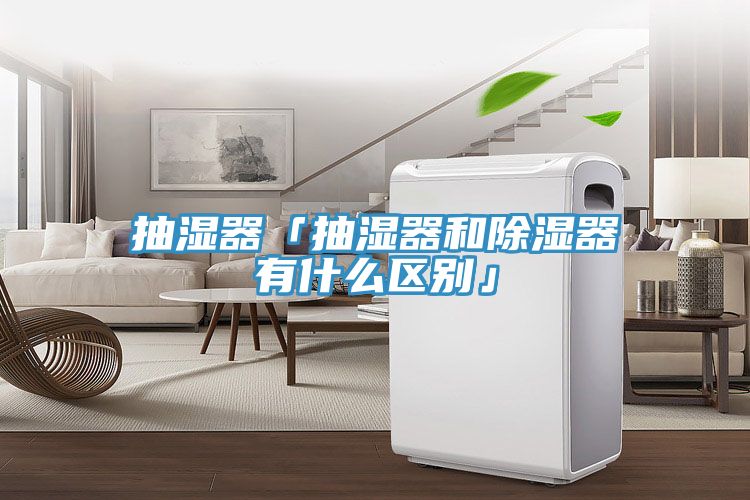 抽湿器「抽湿器和除湿器有什么区别」