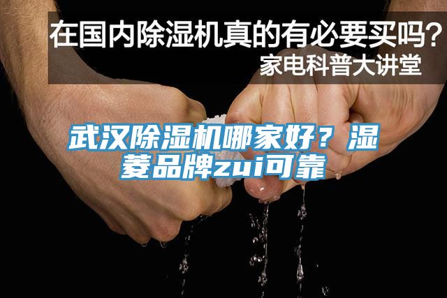 武汉除湿机哪家好？湿菱品牌zui可靠