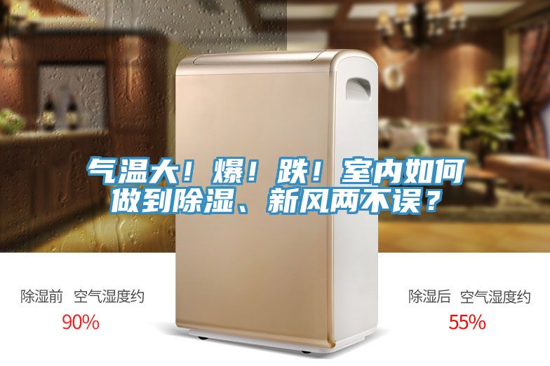 气温大！爆！跌！室内如何做到除湿、新风两不误？