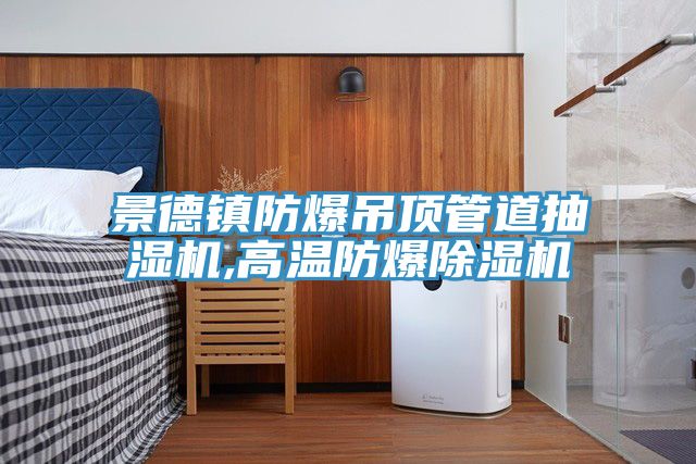 景德镇防爆吊顶管道抽湿机,高温防爆除湿机