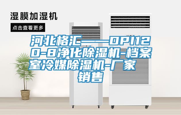 河北格汇——DPI120-8净化除湿机-档案室冷媒除湿机-厂家  销售