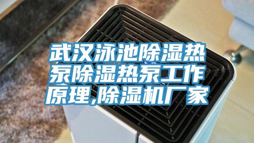 武汉泳池除湿热泵除湿热泵工作原理,除湿机厂家